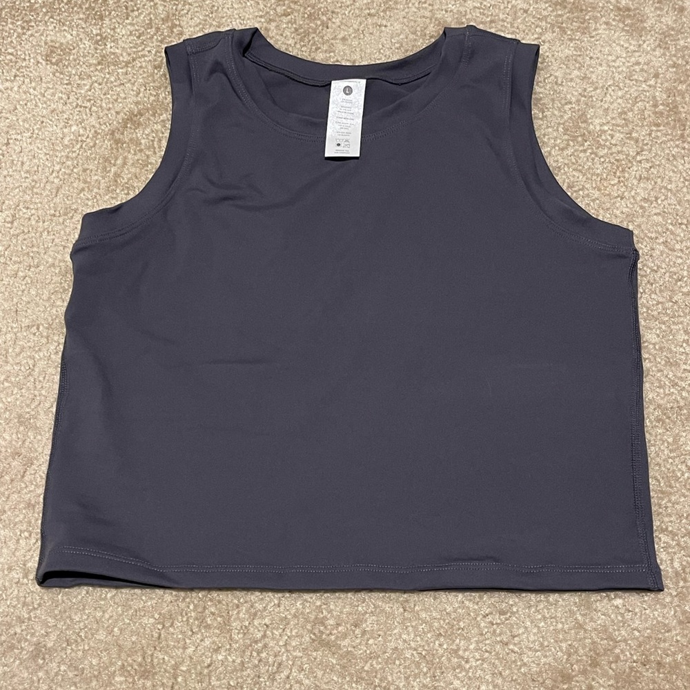 NWOT Paragon Crop Top Midnight Grey - L